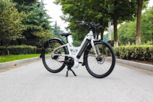 Biały rower elektryczny na parkowej ścieżce